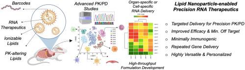 Enhancing RNA-lipid nanoparticle delivery: Organ- and cell-specificity and barcoding strategies