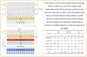 Modeling of joint extraction of entity relationships in clinical electronic medical records