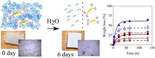 Covalent immobilization of an enzyme on a layered silicate to catalyze the self-degradation of PCL