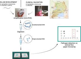 Multiplex detection of meningitis pathogens by a vertical flow paper microarray and signal enhancement suitable for low-resource settings: Proof of concept