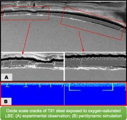 Thermally-induced fracture in the oxide scale of T91 ferritic/martensitic steel after exposure to oxygen-saturated liquid lead–bismuth eutectic