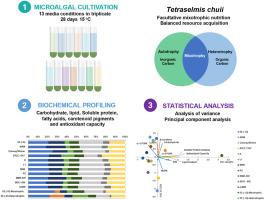 The effects of trophic mode and medium composition on the biochemical profile and antioxidant capacity of Tetraselmis chuii (CCAP 66/21B)