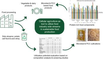 Potato and dairy industry side streams as feedstock for fungal and plant cell cultures