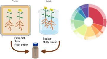 Comprehensive characterization of the rhizosphere metabolome: A novel method for non-targeted analysis of Lotus japonicus root exudates