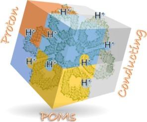 Proton conductive polyoxometalates