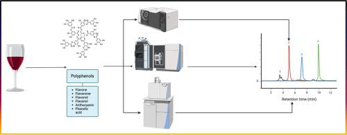 Determination and identification of polyphenols in wine using mass spectrometry techniques