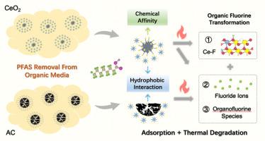 Comparative analysis of enhanced adsorption and thermal decomposition of oil-borne PFAS using CeO2 nanoparticles and activated carbon