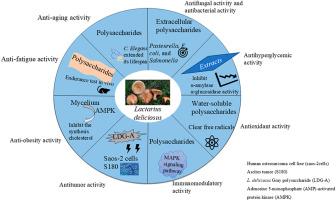 Chemical compositions and health promoting effects of wild edible mushroom milk-cap (Lactarius deliciosus): A review