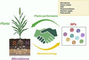 Nanoparticle-mediated modulation of plant performance and microbiome dynamics: Insights into interplay mechanisms