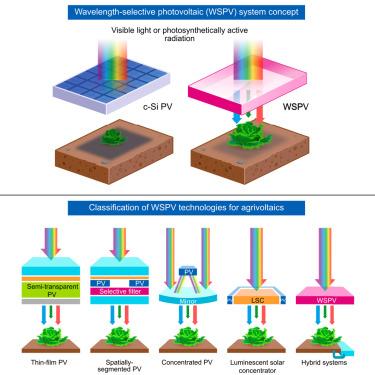 Wavelength-selective solar photovoltaic systems to enhance spectral sharing of sunlight in agrivoltaics