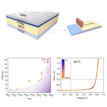 A polymer bilayer hole transporting layer architecture for high-efficiency and stable organic solar cells