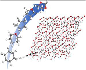 Molecular insights into the performance of promoters for carbon dioxide hydrate