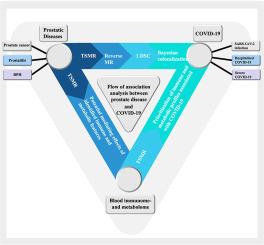 Insights from immunomics and metabolomics on the associations between prostatic diseases and coronavirus disease 2019