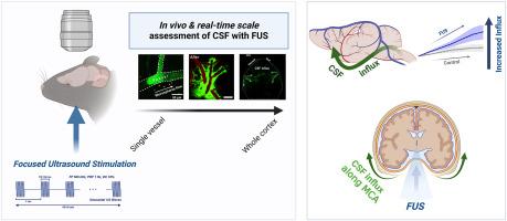 Transcranial focused ultrasound stimulation enhances cerebrospinal fluid movement: Real-time in vivo two-photon and widefield imaging evidence