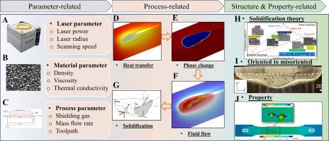 Parameter-process-structure relationships of stray grains (SGs) formation in laser direct energy deposition of single crystal (SX) superalloy