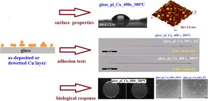 As-deposited and dewetted Cu layers on plasma treated glass: Adhesion study and its effect on biological response