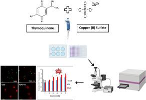 Copper (II) increases anti-Proliferative activity of thymoquinone in colon cancer cells by increasing genotoxic, apoptotic, and reactive oxygen species generating effects