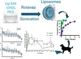 Development of a novel intramuscular liposomal injection for advanced meloxicam delivery: Preparation, characterization, in vivo pharmacokinetics, pharmacodynamics, and pain assessment in an orthopedic pain model