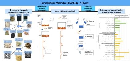 Microbial loading and self-healing in cementitious materials: A review of immobilisation techniques and materials