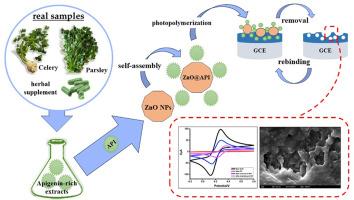 Selective apigenin assay in plant extracts and herbal supplement with molecularly imprinted polymer-based electrochemical sensor