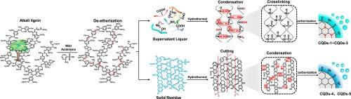 Formation mechanism of lignin-derived carbon quantum dots: From chemical structures to fluorescent behaviors