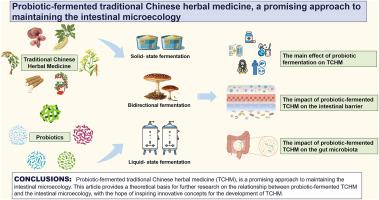 Probiotic-fermented traditional Chinese herbal medicine, a promising approach to maintaining the intestinal microecology