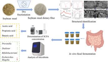 Physicochemical properties, structure and regulatory effect on gut microbiota of dietary fiber extracted from soybean meal via dry fractionation