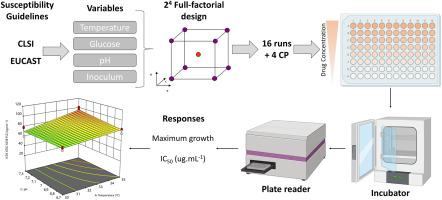 Unraveling the complexities of antifungal susceptibility testing in Candida spp.: Insights from design of experiments