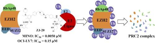 Chemically induced degradation of PRC2 complex by EZH2-Targeted PROTACs via a Ubiquitin-Proteasome pathway