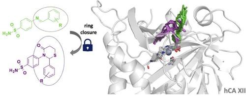 Synthesis, biochemical screening and in-silico investigations of arylsulfonamides bearing linear and cyclic tails