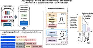 Large Language Models, scientific knowledge and factuality: A framework to streamline human expert evaluation