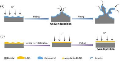 Spontaneously formed interfacial structure boosting dendrite-free Li metal batteries