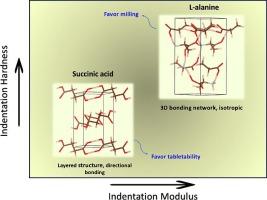 Crystal structure-mechanical property relationship in succinic acid and L- alanine probed by nanoindentation