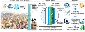 Microalgae bio-reactive façade: System thermal–biological optimization