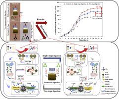 Quorum-sensing molecules regulate biochar-assisted anaerobic digestion system for methane production: Single-stage vs. two-stage digestion