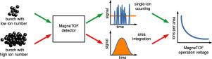 Evaluation of MagneTOF detector signals for the determination of many-ion bunches