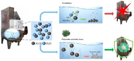 Investigation into the hydrogen inhibition mechanism of Platycladus orientalis leaf extract as a biodegradation inhibitor for waste aluminum-silicon alloy dust in wet dust collectors