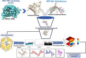 Understanding the stability and dynamics of influenza a H5N1 polymerase PB2 CAP-Binding domain in complex with natural compounds for antiviral drug discovery