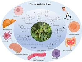 Phytochemistry and pharmacological activities of Cannabis sativa fruit (Cannabis Fructus)