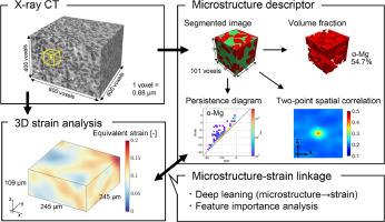 Multimodal deep learning framework to predict strain localization of Mg/LPSO two-phase alloys