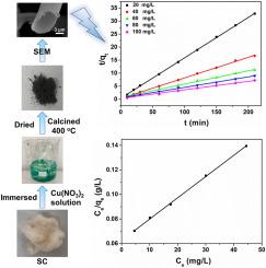 Carbon-doped CuO nanoparticle-constructed single tube adsorbent for high efficient adsorption of Pb2+ at near room temperature