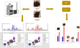 Metabolic profiling and antioxidant activity of fenugreek seeds cultivars ‘Giza 2’ and ‘Giza 30’ compared to other geographically-related seeds