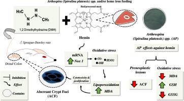 Dietary inclusion of cyanobacteria Arthrospira (Spirulina platensis) spp. decreases the aggravating effect of hemin from red meat in a rat colorectal carcinogenesis model