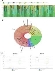 Linking gut microbiota dysbiosis to molecular pathways in Alzheimer’s disease