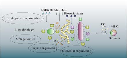 Microbial bioremediation techniques of microplastics and nanoplastics in the marine environment