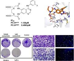 Design and activity evaluation of new EGFR tyrosine kinase inhibitors containing cyclic polyamines