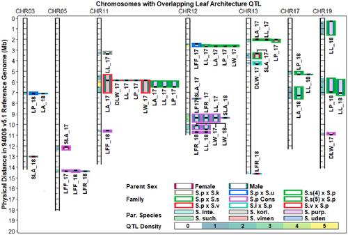 QTL Mapping of Melampsora Leaf Rust Resistance and Yield Component Traits in the Salix F1 Hybrid Common Parent Population