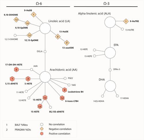 The Omega-6 Lipid pathway shift is associated with neutrophil influx and structural lung damage in early cystic fibrosis lung disease