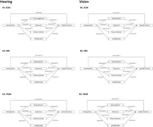 What Explains the Link Between Hearing and Vision Impairment and Cognitive Function? Analysis of Mediating Effects in the USA, England and Ireland