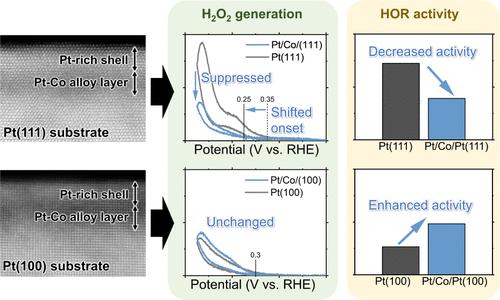 Hydrogen Peroxide Generation and Hydrogen Oxidation Reaction on Pt/Co/Pt(111) and Pt/Co/Pt(100) Single-Crystal Model Catalyst Surface